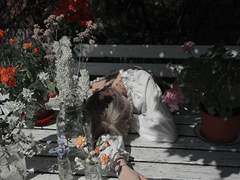 새 봄의 심장 고동.