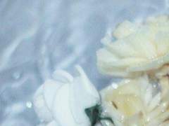 이상과 눈을 맞추도록 하고