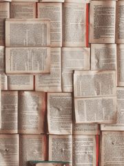 소설 설정이나, 여러 짤 써놓은 곳