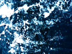 고단한 여로를 걷는구나