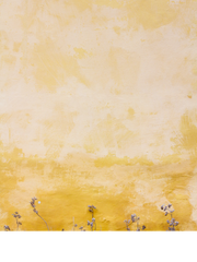 별들의 오케스트라