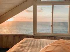 상처 입은 자들의 연대기