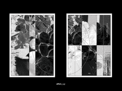 Sold out. 가로지르는 시선