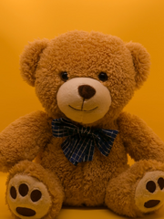 [아카후루] 아카이 슈이찌!