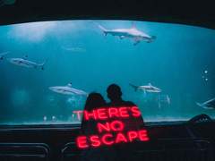 설익은 배신 下