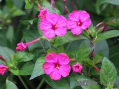 너가 거짓말쟁이라는 건 아니야.