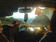 인생의 회전목마