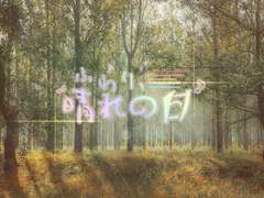 ふわり、晴れの日