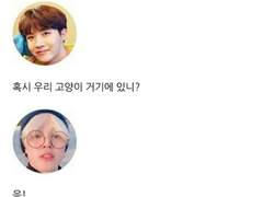 [방탄끼리 카톡하기] 게으른 앨리스 : 37