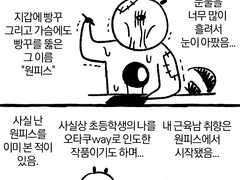 원피스 후기 만화