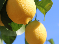 the most common way to love something