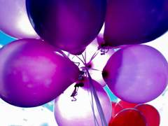 No rose without a thorn.