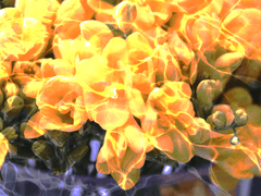 #불의의_사고로_죽게_된_앤캐를_살릴_수_있지만_자신과_만나기_이전_처음의_기억으로_되돌아가_자캐를_기억하지_못한다면_자캐는