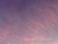 캔디 피셔/28/독일/상사