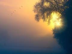 이 밤이 길고 길지라도