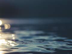 질릴 만큼 상처입은 우리잖아.