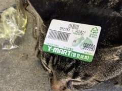 돌아갈래요 다시 그때로