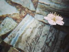 임무 완료.. 졸려...