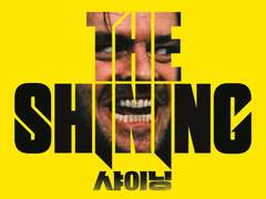 [샤이닝] 도플라밍고 & 코라손 & 트라팔가 로우