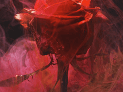 그러자 푸름은 사라지고 오직 붉음만 남았더라