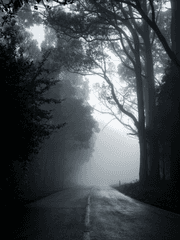 구매자를 찾아라