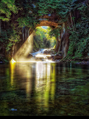 숲과 별의 아이들