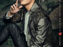 디자인 사진 자료