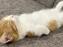 직장생활 스몰 talk