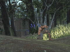 기억을 잃은 남자