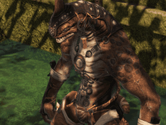 미남의 전통 무용