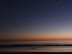 찐 소재... 수인물..언젠가