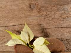 그저 또 다른 하루 _ 첫 번째 날