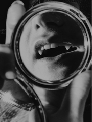 뱀파이어와의 밤