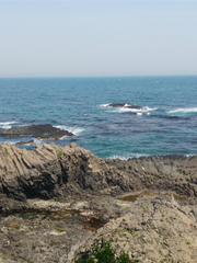 고래별 2차 창작