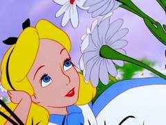 하이큐 캐들이 아이돌이라면?