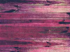 Episode Ⅵ. 드러나는 진실