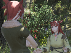 나무그늘에 숨은 밀렵왕