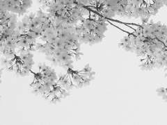 崔乨浪- 닿지 않을 물결