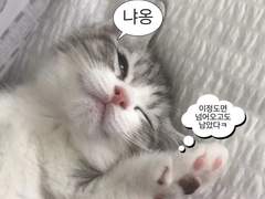 엔시티나페스추천_23