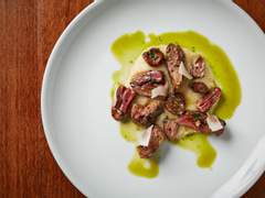 [비크케일] 미친 티 파티