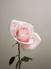 [이영싫] 필링필링-외전