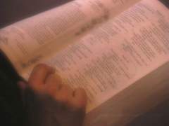 어린 양들을 구원하고자 한다면,