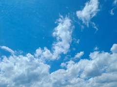 스쿨 베이스볼 인 러브