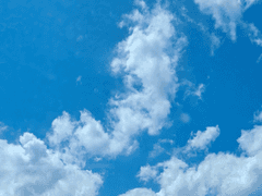 스쿨 베이스볼 인 러브