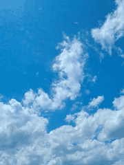 스쿨 베이스볼 인 러브