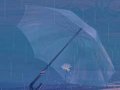 비가오고 꽃이피면1