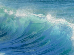 유 파란 : Xx : 공개프로필