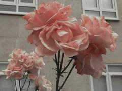 경찰일 하면서 꽤나 행복했습니다