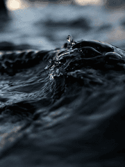 영혼이 존재하는 까닭은