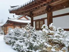 [다크초코 쿠키 ＆다크카카오 쿠키 ] 名譽,尊貴